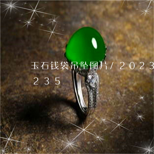 玉石钱袋吊坠图片/2023042606235