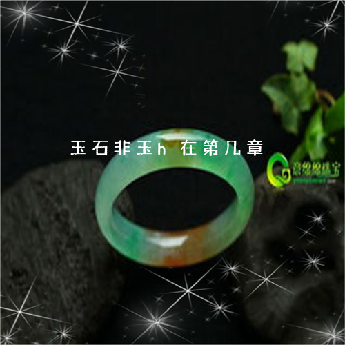 玉石非玉h在第几章