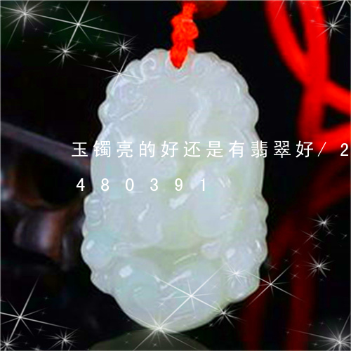 玉镯亮的好还是有翡翠好/2023112480391