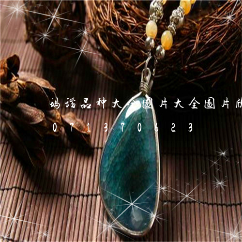 玛瑙品种大全图片大全图片欣赏/2023071370623