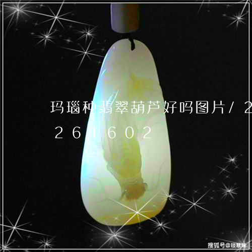 玛瑙种翡翠葫芦好吗图片/2023110261602