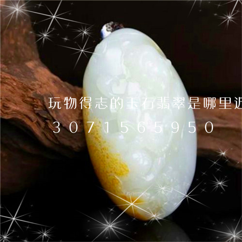 玩物得志的玉石翡翠是哪里近的货/2023071565950