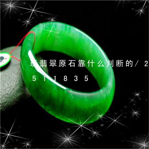 玩翡翠原石靠什么判断的/2023112511835