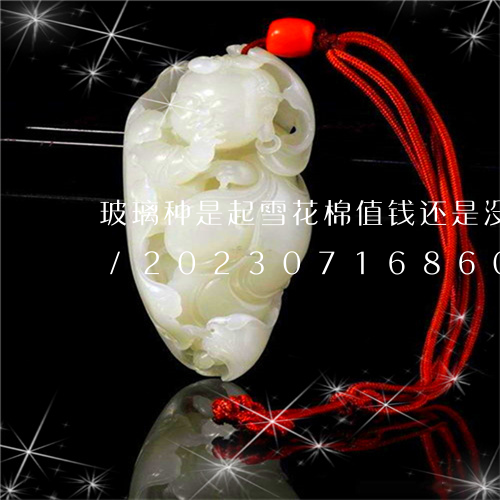 玻璃种是起雪花棉值钱还是没有雪花棉值钱/2023071686060