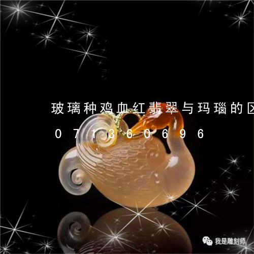 玻璃种鸡血红翡翠与玛瑙的区别/2023071360696