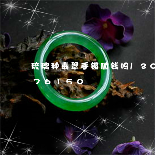 琉璃种翡翠手镯值钱吗/2023120776150