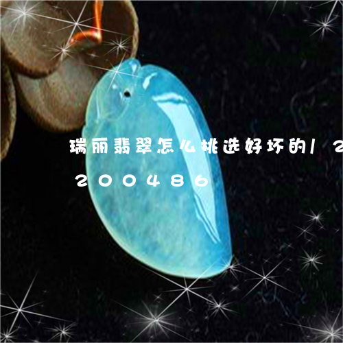 瑞丽翡翠怎么挑选好坏的/2023110200486