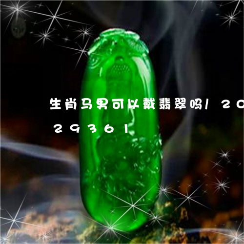 生肖马男可以戴翡翠吗/2023092829361