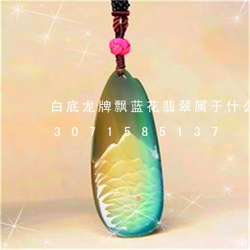 白底龙牌飘蓝花翡翠属于什么档次/2023071585137