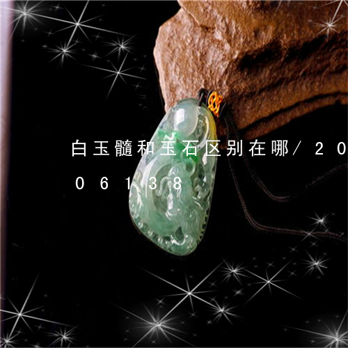 白玉髓和玉石区别在哪/2023112406138