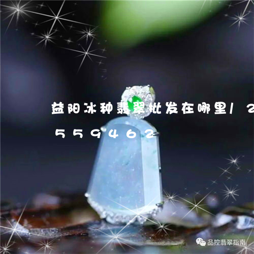 益阳冰种翡翠批发在哪里/2023112559462