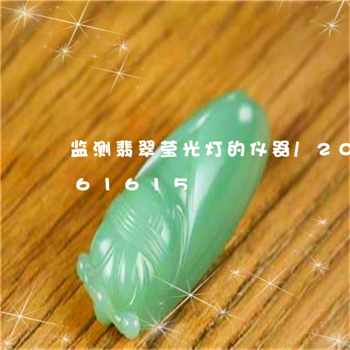 监测翡翠莹光灯的仪器/2023112461615