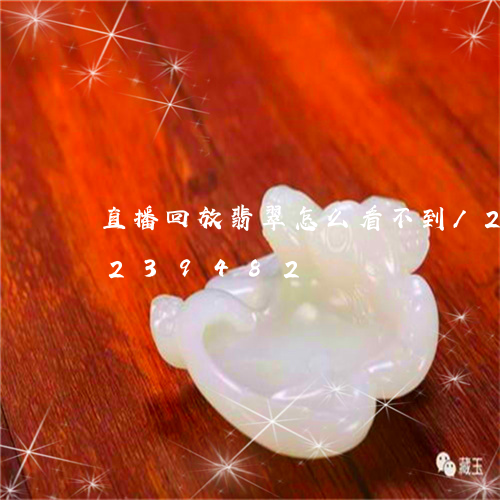 直播回放翡翠怎么看不到/2023110239482