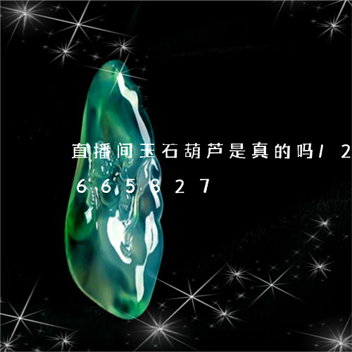 直播间玉石葫芦是真的吗/2023111665827