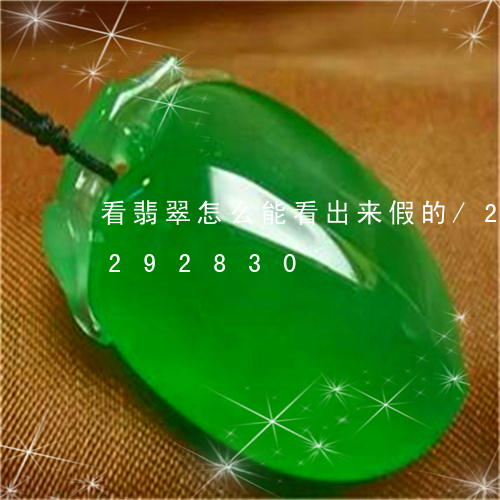 看翡翠怎么能看出来假的/2023110292830