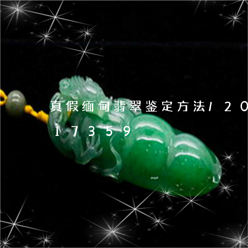 真假缅甸翡翠鉴定方法/2023120817359