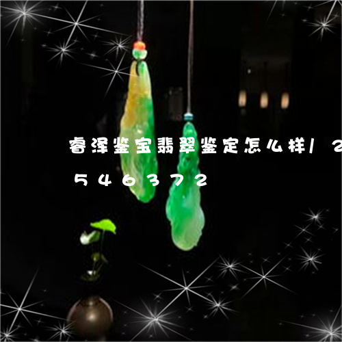 睿泽鉴宝翡翠鉴定怎么样/2023111546372