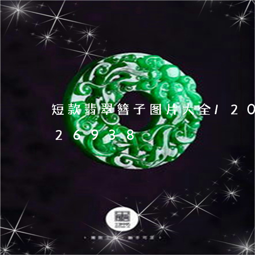 短款翡翠簪子图片大全/2023092826938