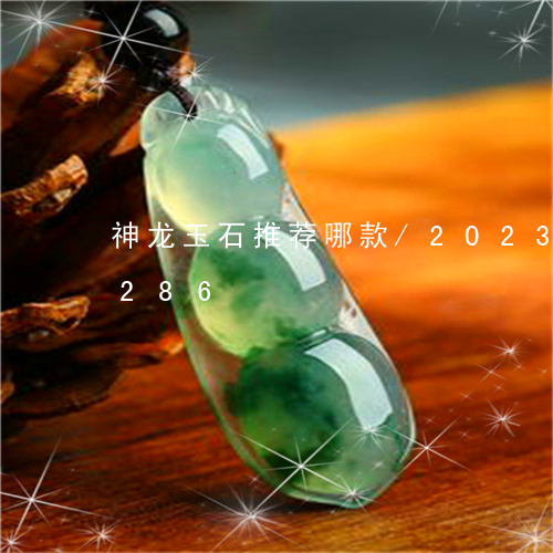 神龙玉石推荐哪款/2023080196286