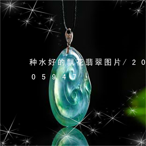 种水好的飘花翡翠图片/2023092805947