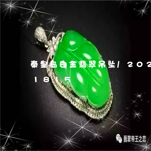 秦皇岛白金翡翠吊坠/2023120551815