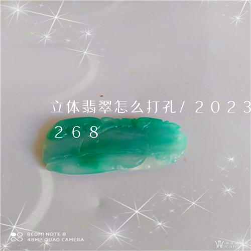 立体翡翠怎么打孔/2023102487268