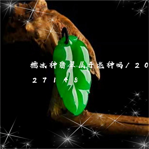 糯冰种翡翠属于老种吗/2023092827148