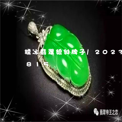 糯冰翡翠貔貅牌子/2023102491815