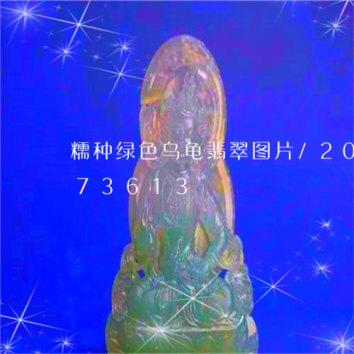 糯种绿色乌龟翡翠图片/2023112473613