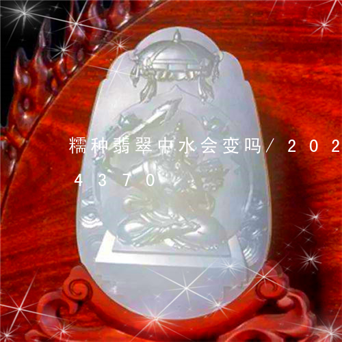 糯种翡翠中水会变吗/2023120624370