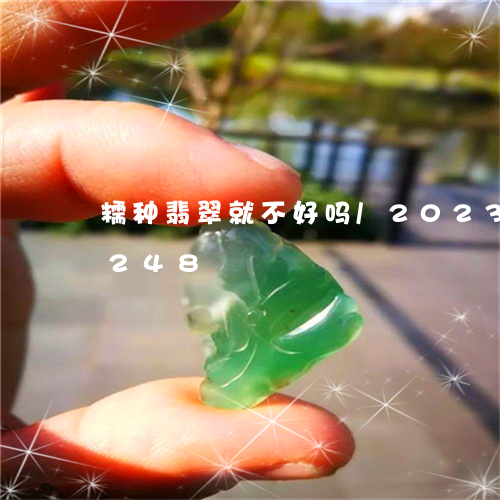 糯种翡翠就不好吗/2023102415248