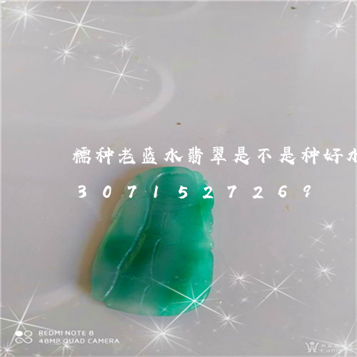 糯种老蓝水翡翠是不是种好水头短/2023071527269