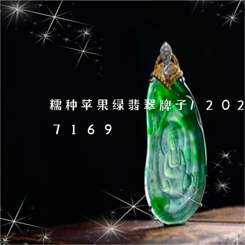 糯种苹果绿翡翠牌子/2023112337169