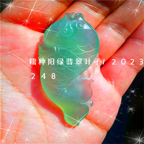 糯种阳绿翡翠叶子/2023102406248