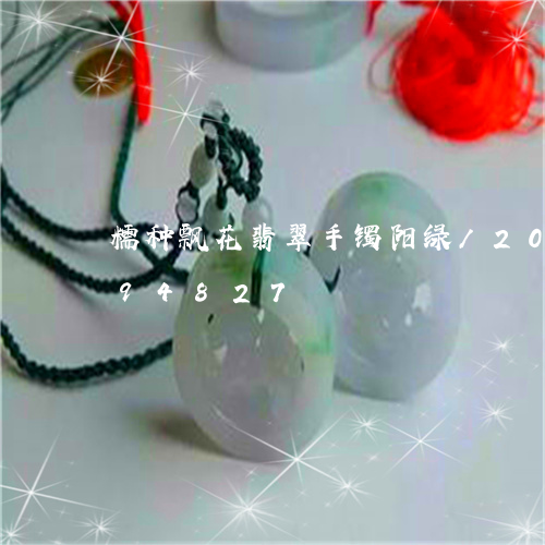 糯种飘花翡翠手镯阳绿/2023120794827