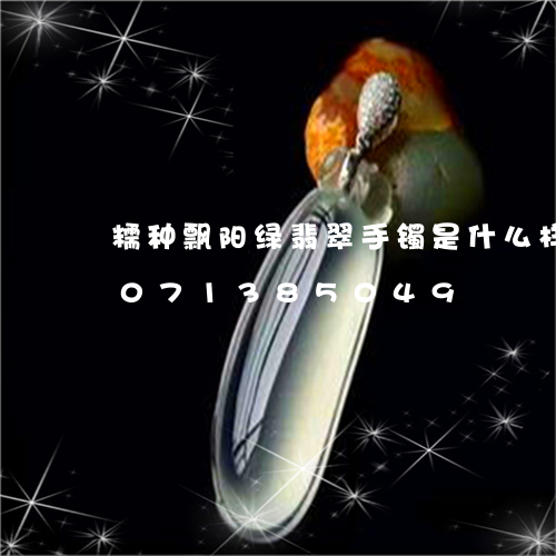 糯种飘阳绿翡翠手镯是什么样的/2023071385049