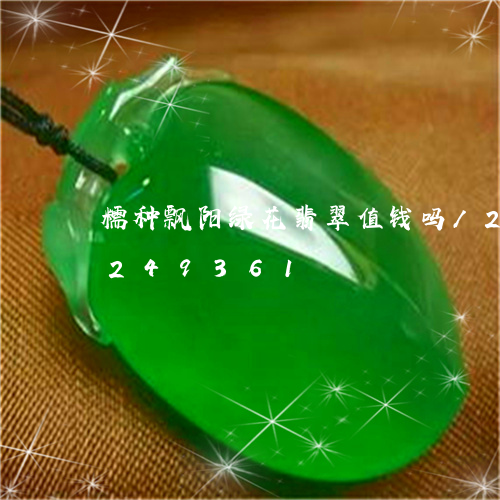 糯种飘阳绿花翡翠值钱吗/2023110249361