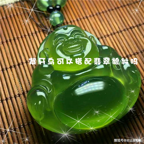 紫牙乌可以搭配翡翠貔貅吗