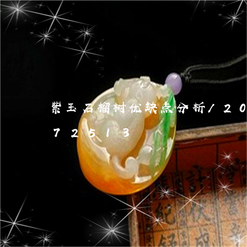 紫玉石榴树优缺点分析/2023112472513