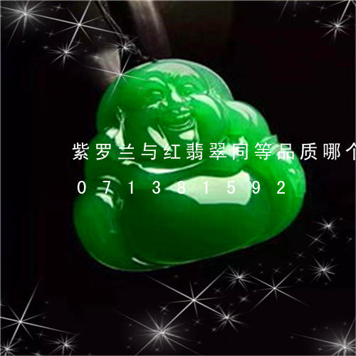 紫罗兰与红翡翠同等品质哪个贵/2023071381592