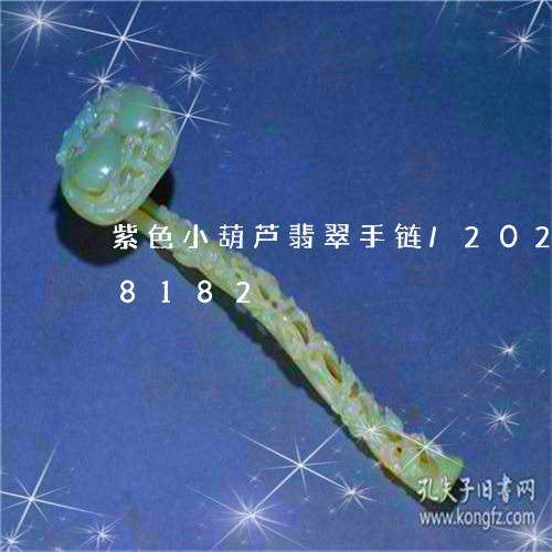 紫色小葫芦翡翠手链/2023102618182