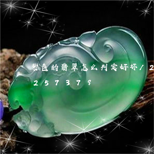 紫色的翡翠怎么判定好坏/2023110257379