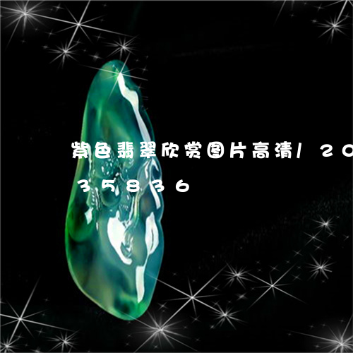 紫色翡翠欣赏图片高清/2023092735836