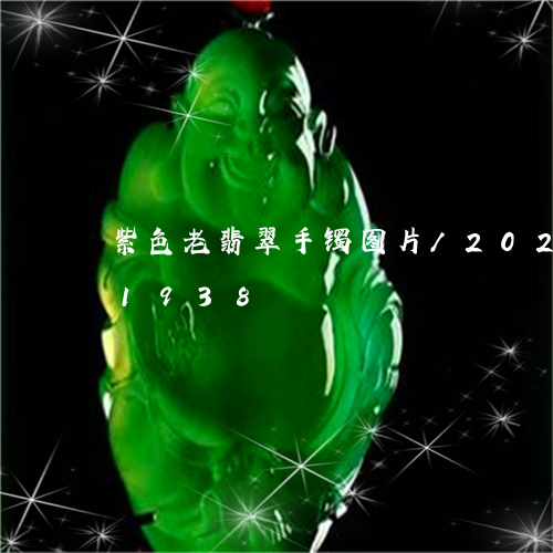 紫色老翡翠手镯图片/2023102511938