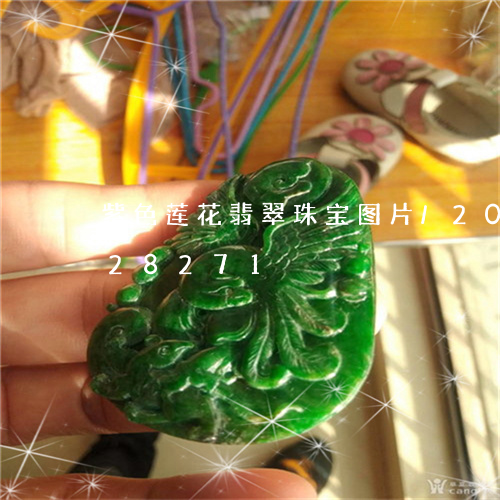 紫色莲花翡翠珠宝图片/2023092828271