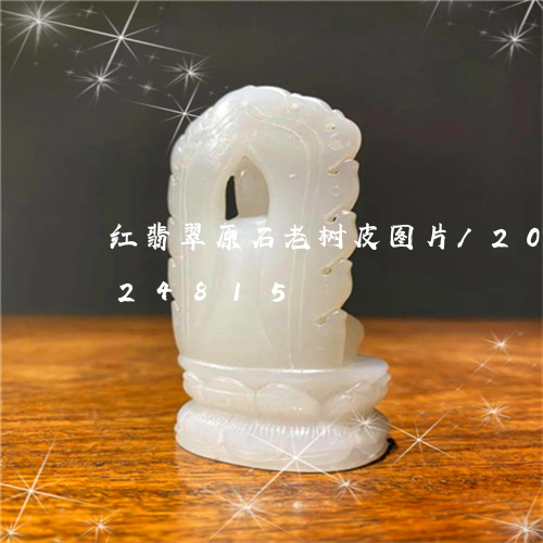 红翡翠原石老树皮图片/2023092724815