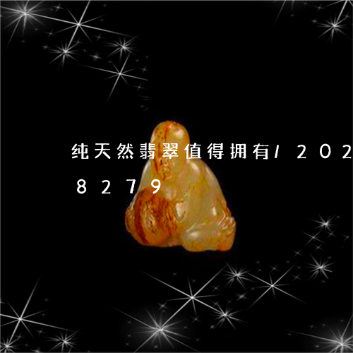 纯天然翡翠值得拥有/2023102668279