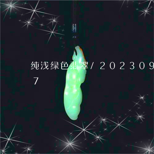 纯浅绿色翡翠/2023092504037