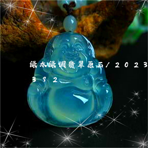 绿水绿调翡翠原石/2023120760392