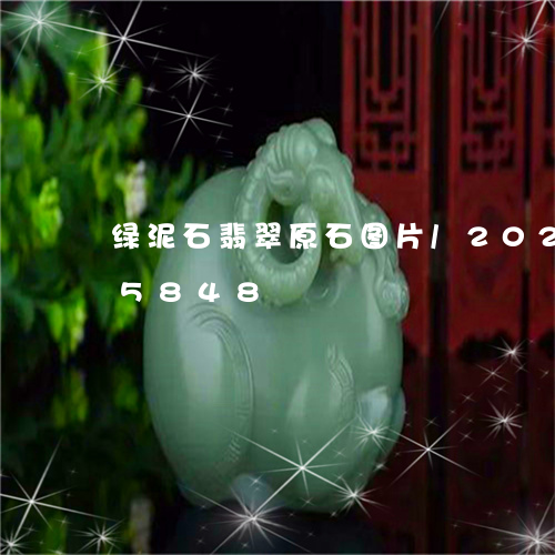 绿泥石翡翠原石图片/2023120525848